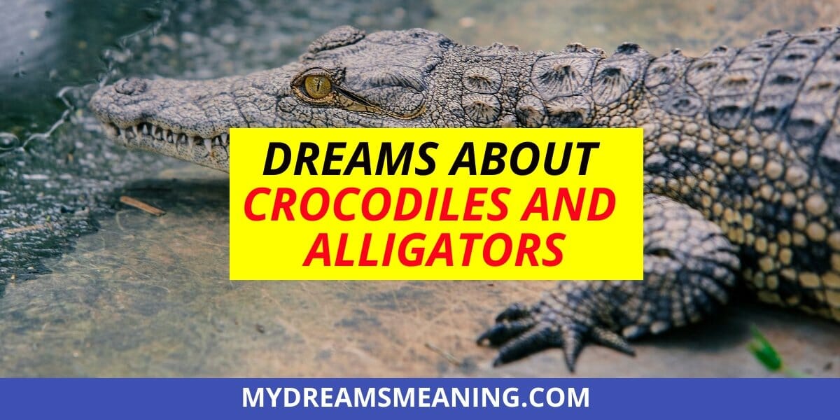 Dreams About Crocodiles And Alligators |Dream Interpretation