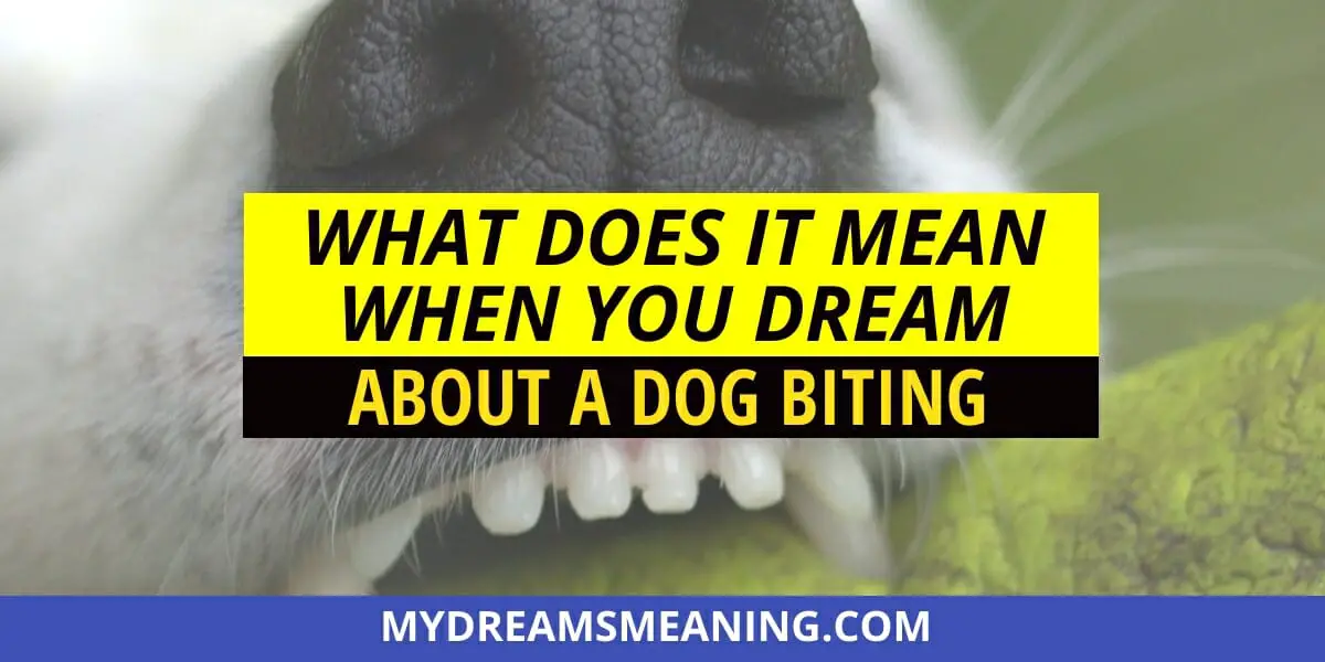 what does it mean when a dog bites your left hand in a dream