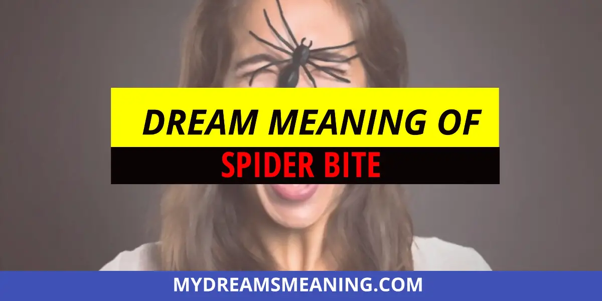 Dream Meaning Of Spider Bite
