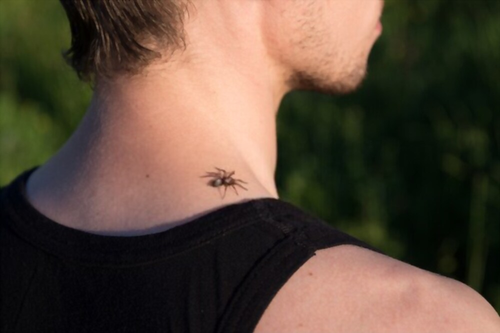 Dream Meaning of a Spider Bite on the Neck