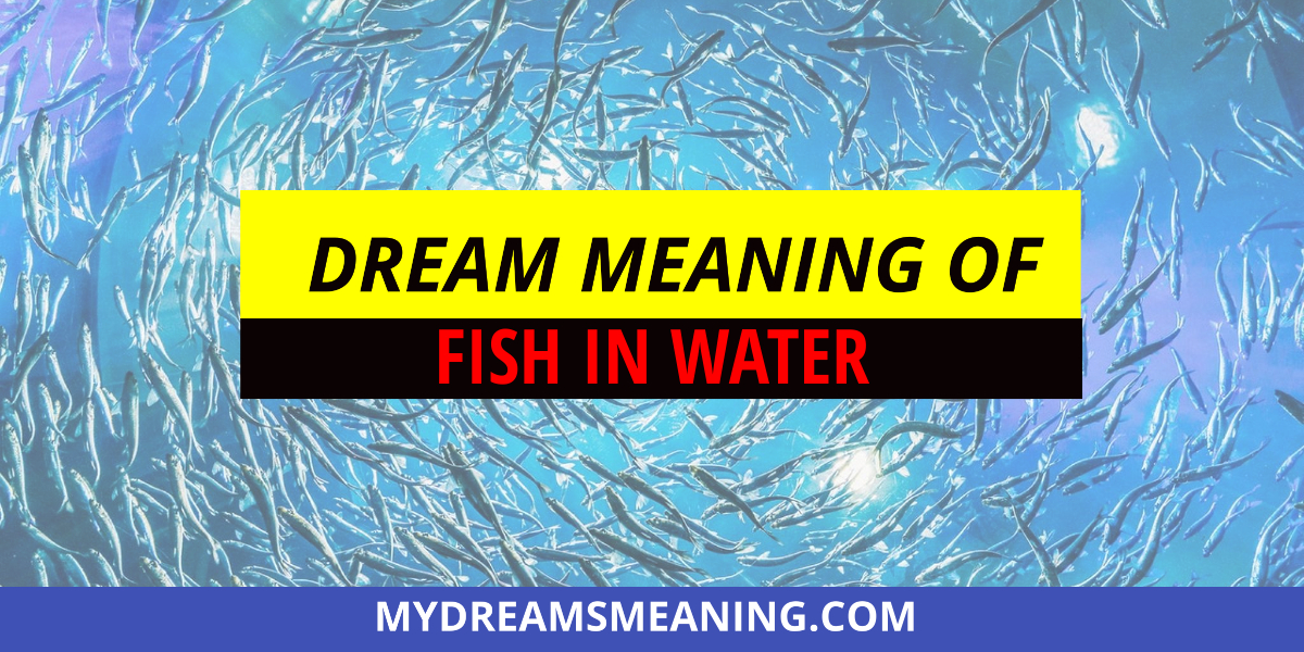 Dream Meaning of Fish in Water | Fish Dream Meaning