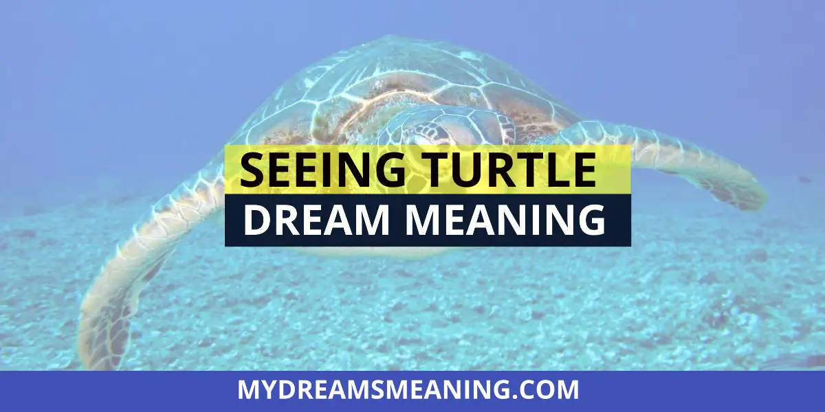 Seeing Turtle In Dream Meaning | Turtle Dream Meaning